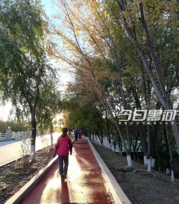 QQ截圖20181010151107
